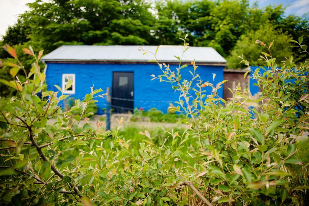 The Snowdon Inn - Y Fricsan Cwm-y-glo Ruang foto
